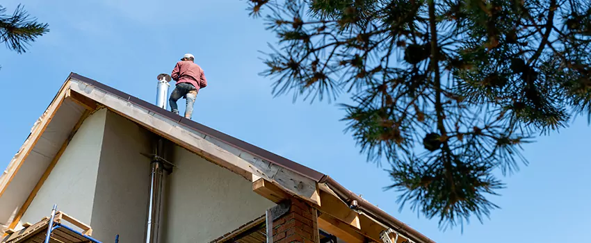 Birds Removal Contractors from Chimney in Chickasha, OK